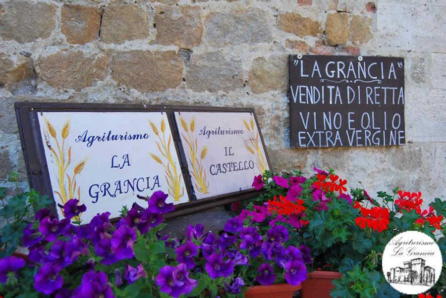 Agriturismo Castello La Grancia Di Spedaletto Pienza Exteriér fotografie